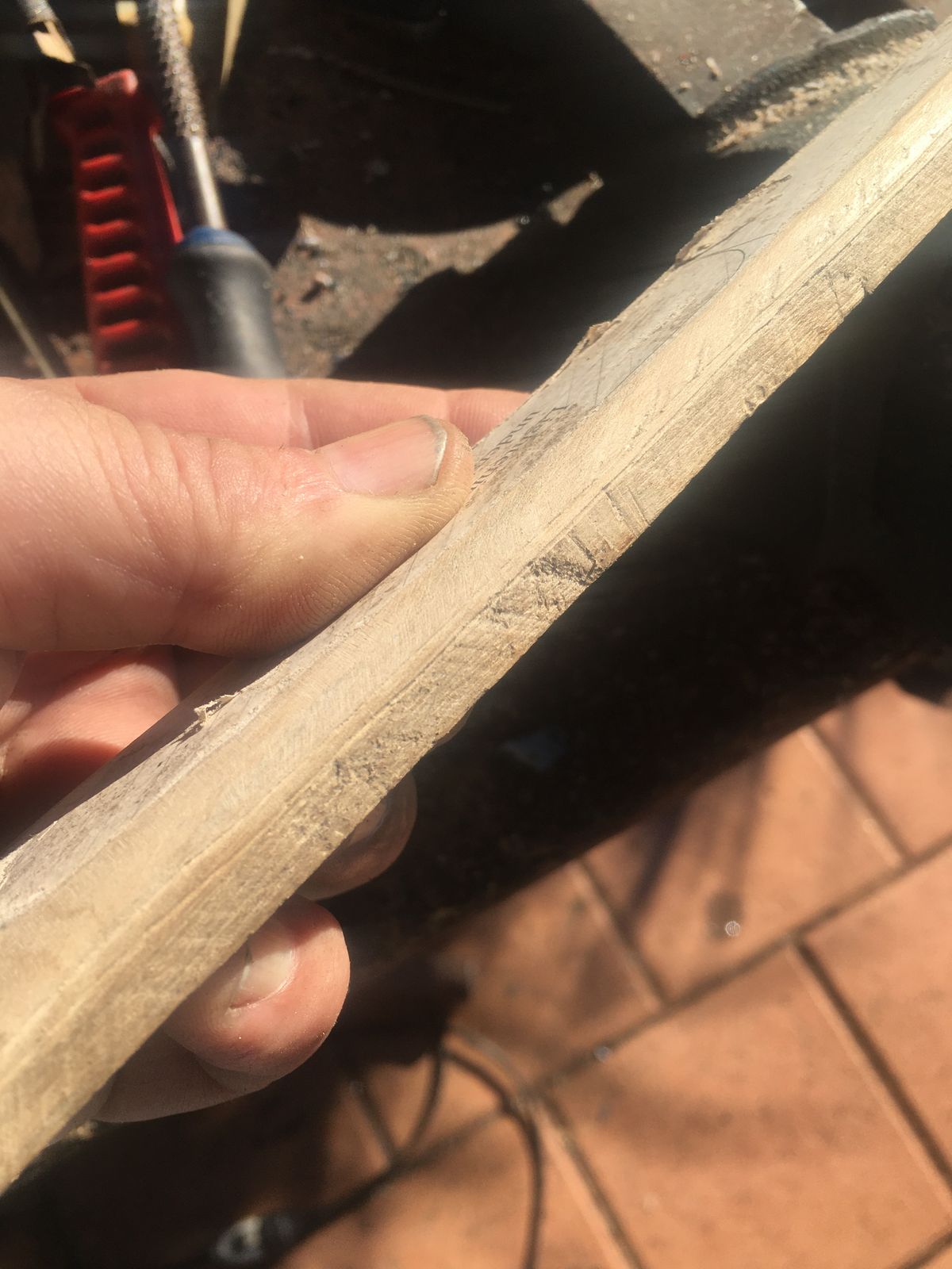 WhatsApp Image 2025-04-27 at 23.11.05.jpeg